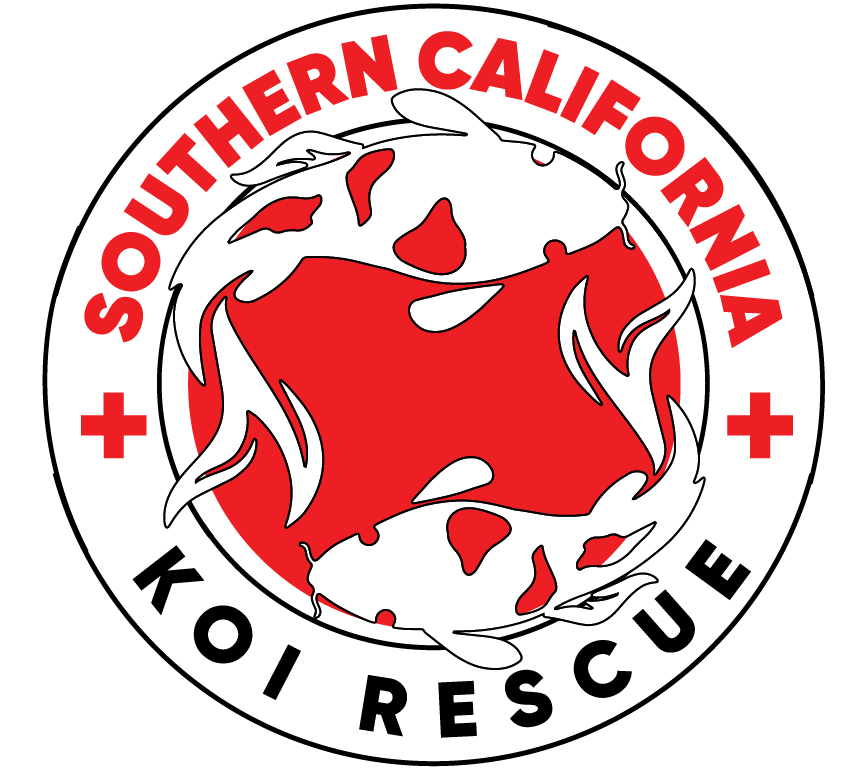 Southern California Koi Rescue